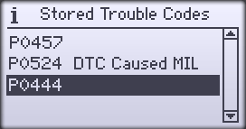 Stored Trouble Codes Screen